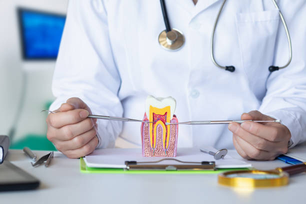 Best Emergency Dental Care for Trauma or Injury in Schuylerville, NY